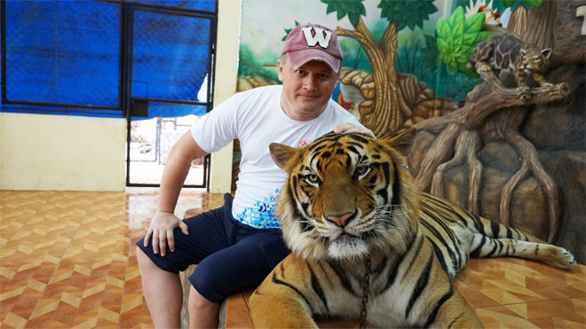 фото с тигром
